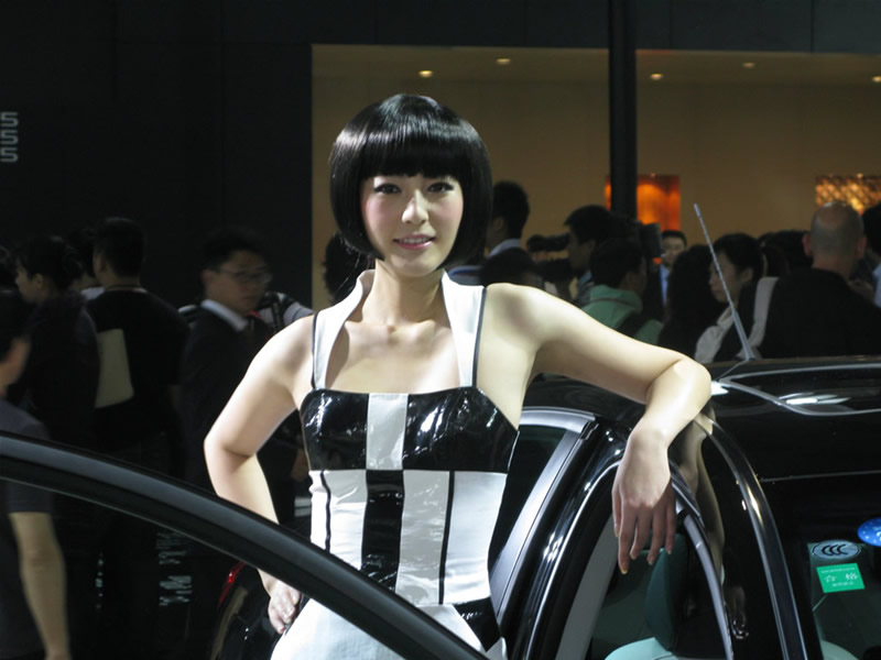 Illustration for article titled The Booth Professionals of the 2008 Guangzhou International Auto Show